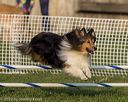20220917-pvkc-1342