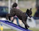 20220917-pvkc-1412
