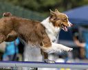 20220917-pvkc-1428