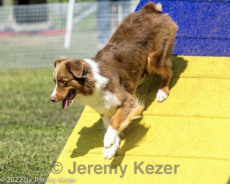 20220917-pvkc-1432.jpg