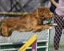 20220917-pvkc-1451