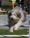 20220917-pvkc-1571