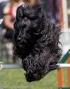 20220917-pvkc-1596