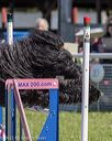 20220917-pvkc-1605