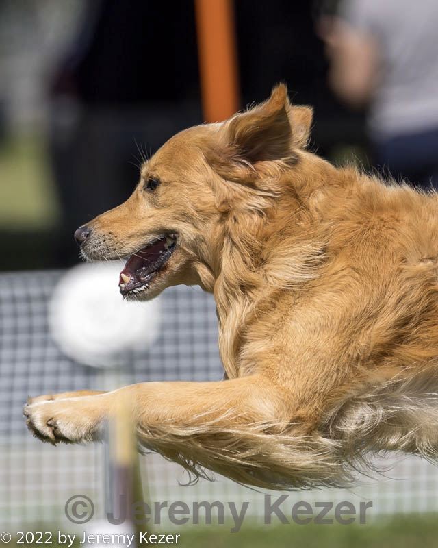 20220917-pvkc-1621.jpg