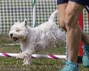 20220918-pvkc-0451