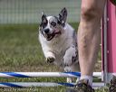 20220918-pvkc-0461