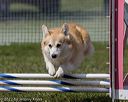 20220918-pvkc-0364