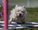 20220918-pvkc-0371