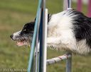 20220918-pvkc-0244