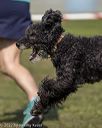 20220918-pvkc-0278