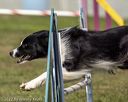 20220918-pvkc-0313
