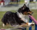 20220918-pvkc-0319