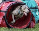 20220918-pvkc-0061