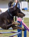 20220918-pvkc-0066