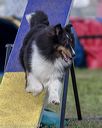 20220918-pvkc-0912