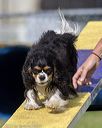 20220918-pvkc-0937