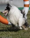20220918-pvkc-0949