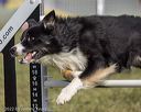 20220918-pvkc-0819