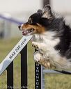 20220918-pvkc-0893