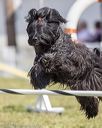 20220918-pvkc-0592