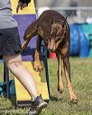 20220918-pvkc-0595