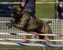 20220918-pvkc-0012