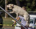 20220918-pvkc-0032