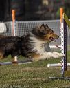 20220918-pvkc-1074