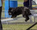 20220918-pvkc-0503