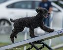 20220918-pvkc-3424