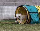 20220918-pvkc-3407