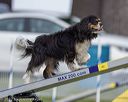 20220918-pvkc-3404