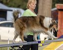 20220918-pvkc-3397