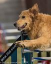 20220918-pvkc-3374