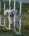20220918-pvkc-3278