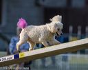 20220918-pvkc-3281