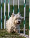 20220918-pvkc-3285
