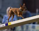 20220918-pvkc-3295