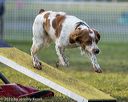 20220918-pvkc-3212
