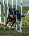 20220918-pvkc-3220