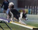 20220918-pvkc-3240