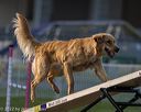 20220918-pvkc-3247