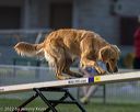 20220918-pvkc-3250