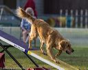 20220918-pvkc-3252
