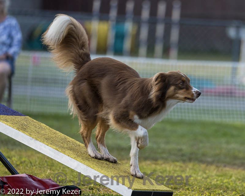 20220918-pvkc-3196.jpg
