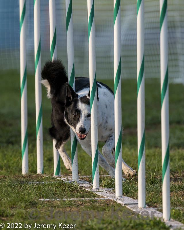 20220918-pvkc-3198.jpg