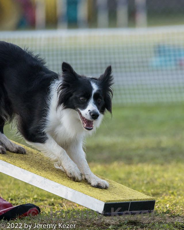20220918-pvkc-3214.jpg