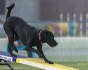 20220918-pvkc-3047