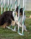 20220918-pvkc-3057